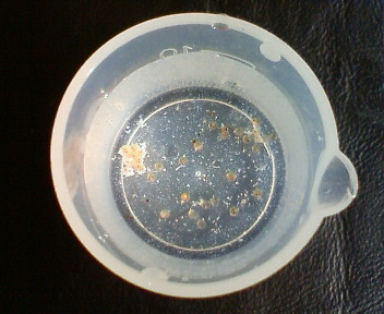 d0056881_06251.jpg