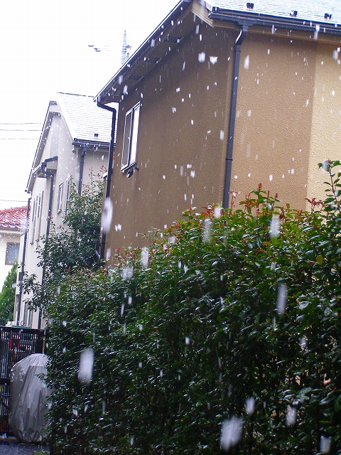 d0120382_19112762.jpg
