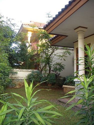 c0175883_15412842.jpg