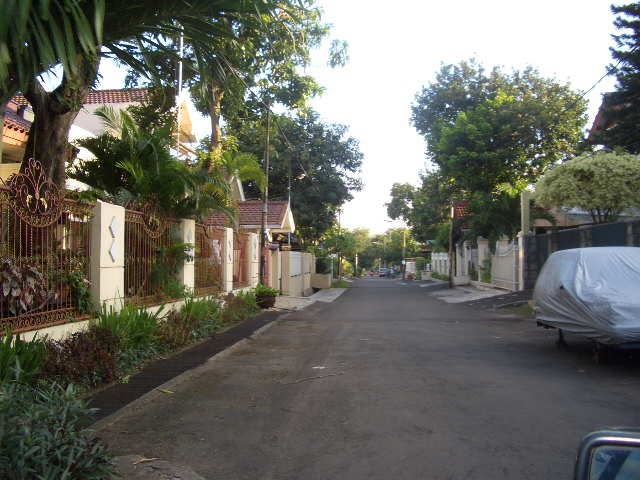 c0175883_15445325.jpg