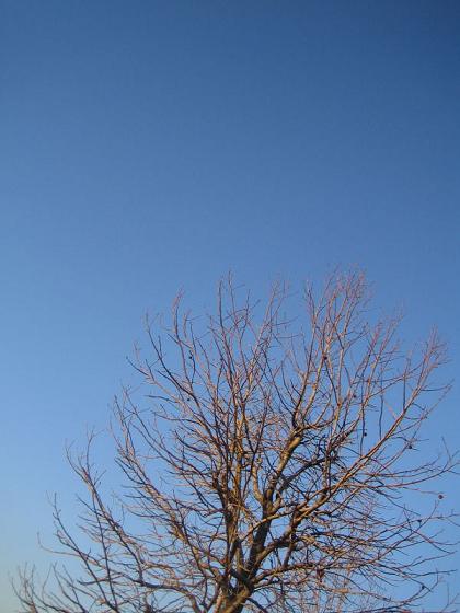 e0142283_2373937.jpg