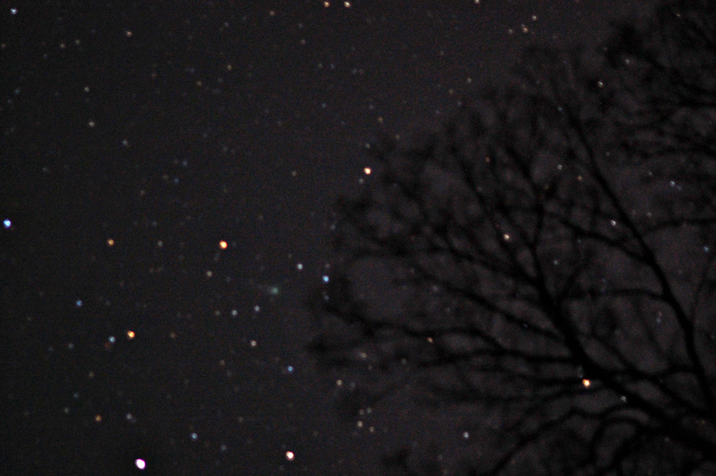 f0047593_177917.jpg