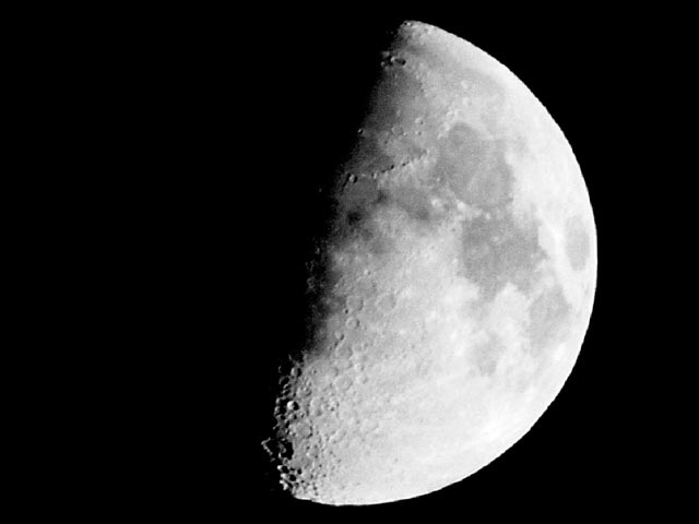 d0049594_01166.jpg