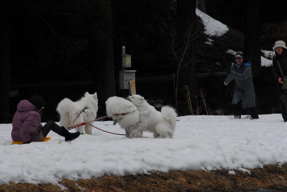 雪遊びに行ってきました♪　　んまいもん＆ソリ遊び編_a0049296_6451420.jpg