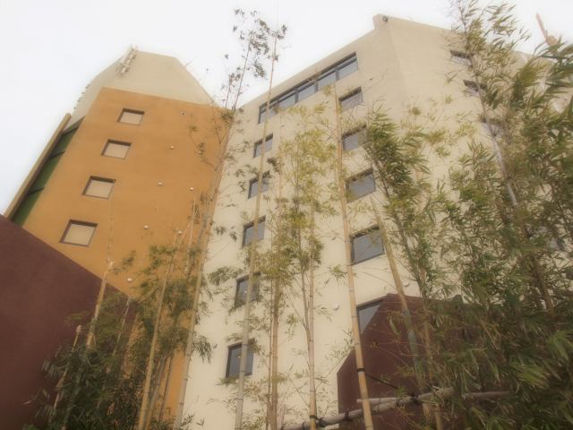 f0175003_20325432.jpg