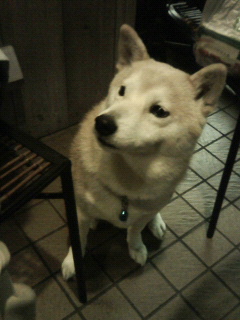e0131506_23322490.jpg