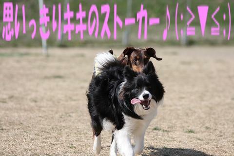 e0100007_1038855.jpg