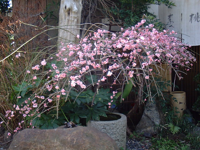 f0173908_1614693.jpg