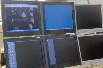 a0055913_063434.gif