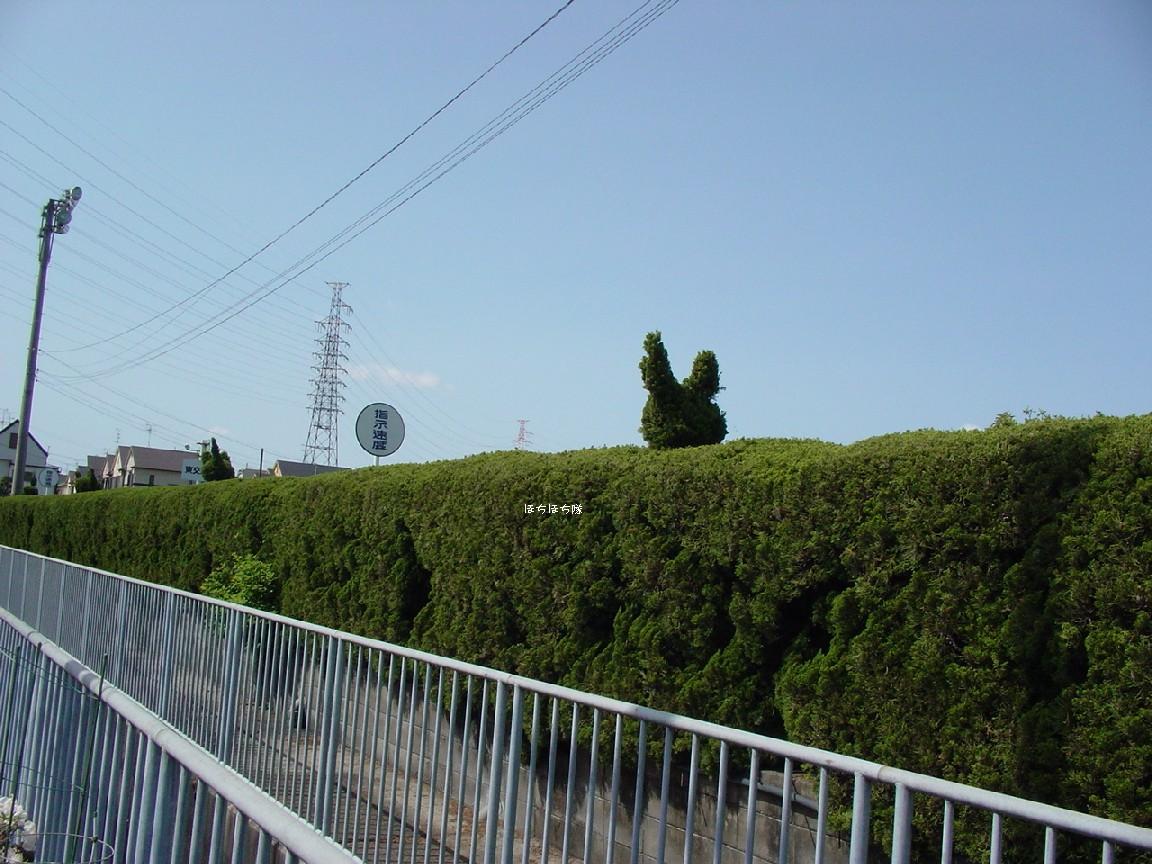 f0151213_11144899.jpg
