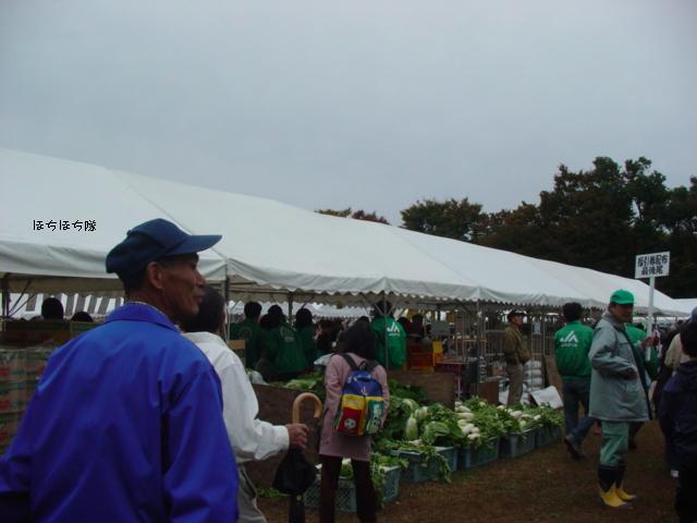 f0151213_16422985.jpg