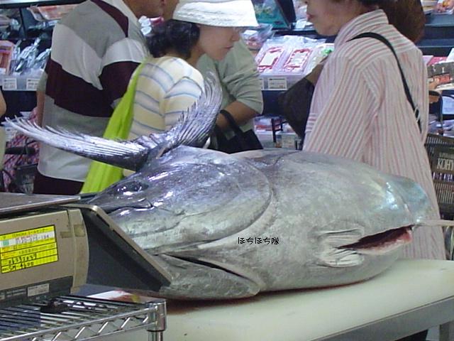 f0151213_179854.jpg
