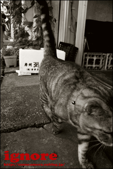 無視!_f0100215_2354771.jpg