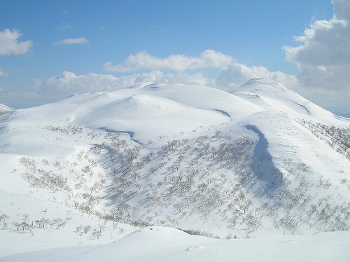 白樺山、その２_c0048117_745818.jpg