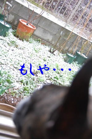 c0130324_22271637.jpg