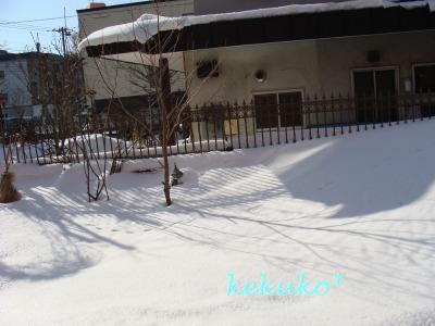 f0170524_1018669.jpg