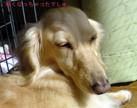 c0117831_20443224.jpg