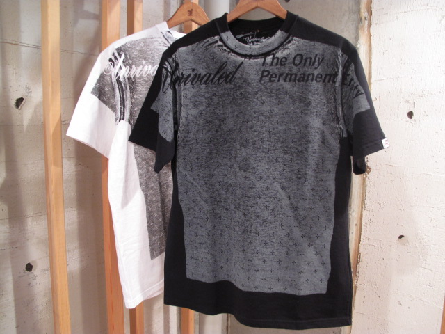 Tee 3型　入荷_f0123231_1626047.jpg