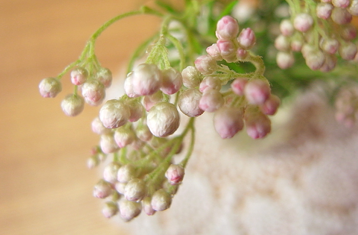c0187138_121330.jpg
