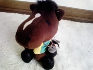 阪神競馬場のパドックにて_e0145441_20241126.jpg