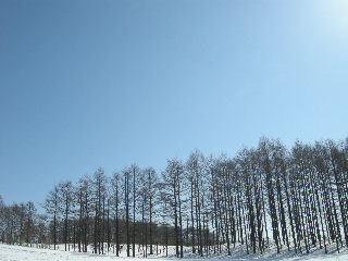 e0172842_1540340.jpg