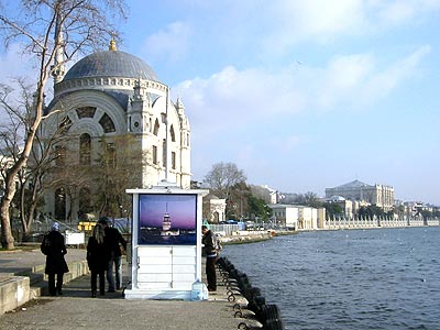 d0039443_11312664.jpg