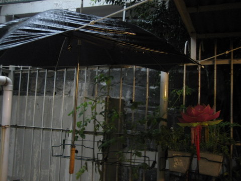 e0018143_17112446.jpg