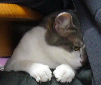 なんだかな~_f0002743_1501699.jpg