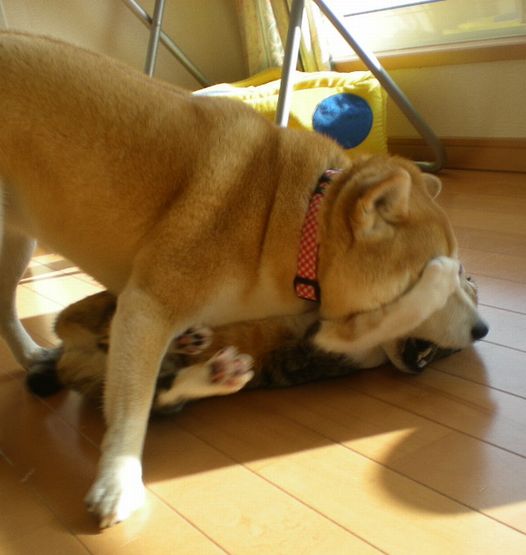 2009年3月5日(木)朝から超ハッスル!_f0060461_14482913.jpg