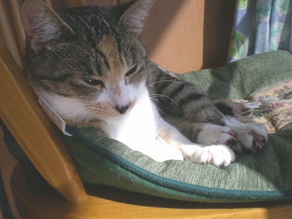 2009年3月5日(木)朝から超ハッスル!_f0060461_14591254.jpg
