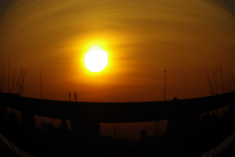 f0179061_8411999.jpg