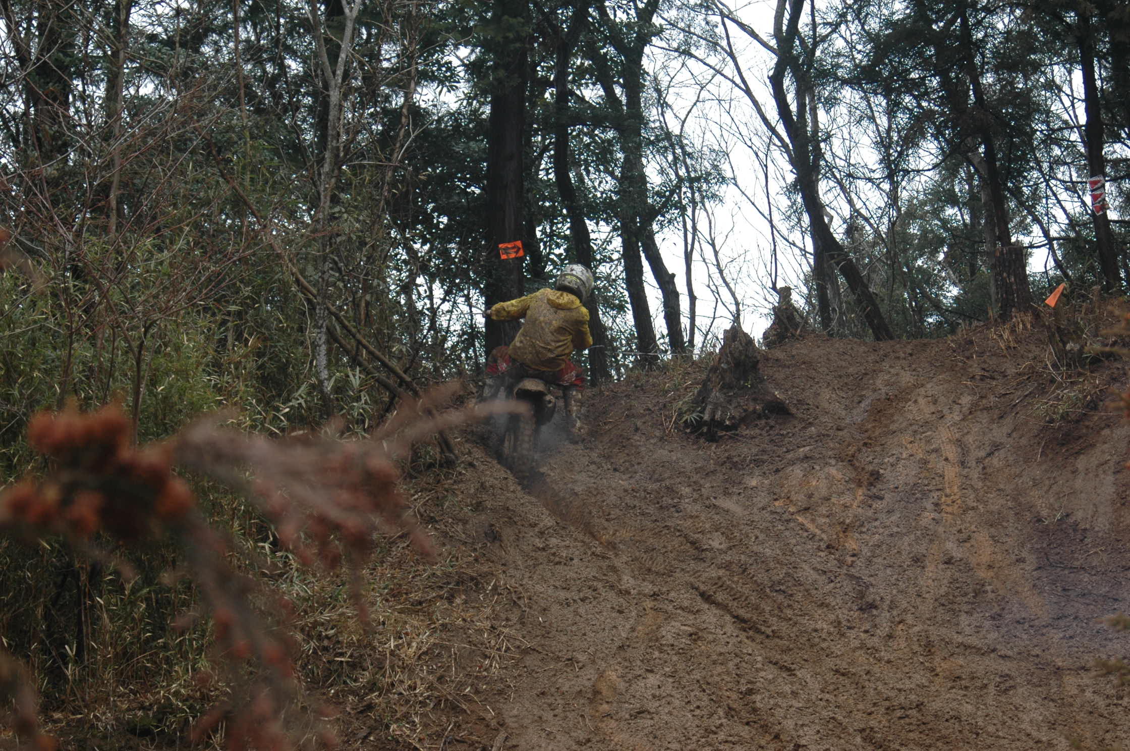 c0198263_21563669.jpg