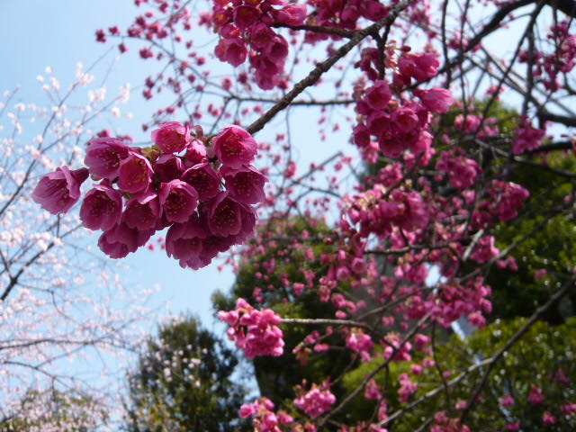c0100865_22583643.jpg
