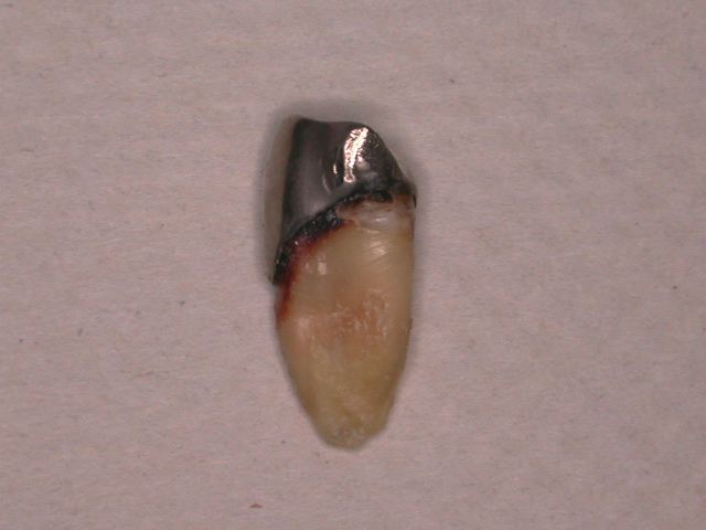 b0119466_012147.jpg