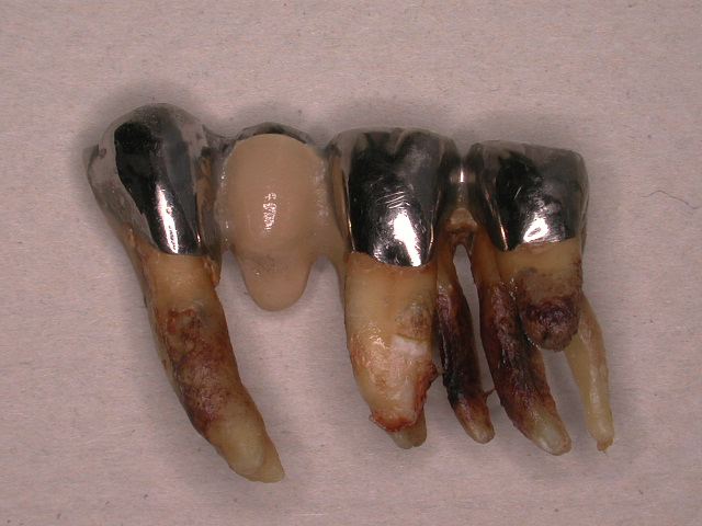 b0119466_0125561.jpg