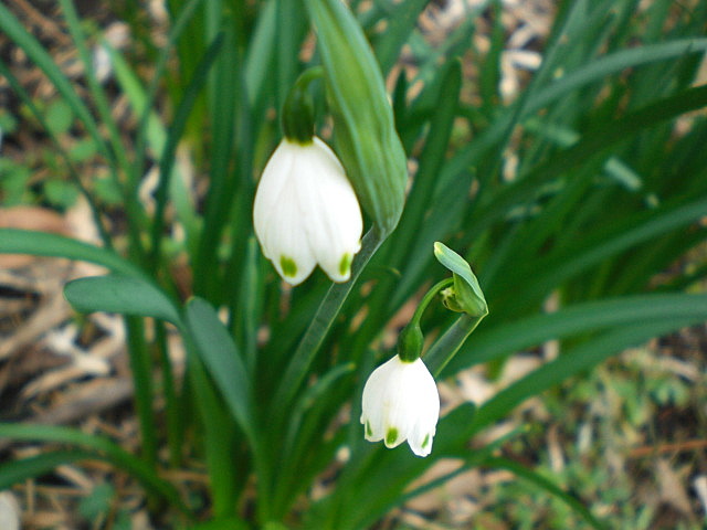 b0149867_18273010.jpg