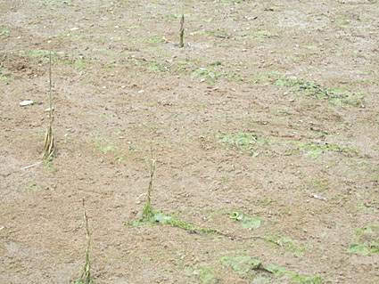 f0039672_16363486.jpg