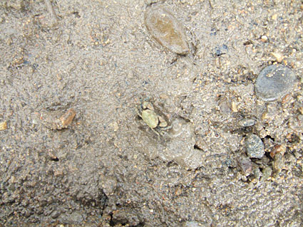 f0039672_16385849.jpg