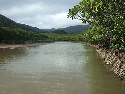f0039672_16392944.jpg
