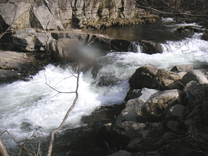 f0161874_22311390.gif