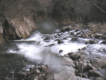 f0161874_22312487.gif