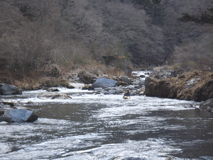 f0161874_22323985.gif