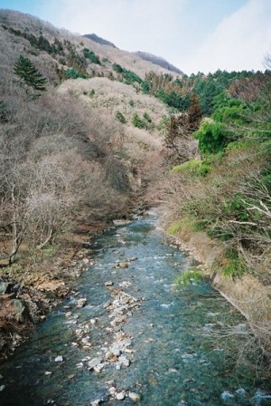 e0173679_10577.jpg
