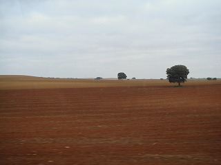 c0096685_22363236.jpg