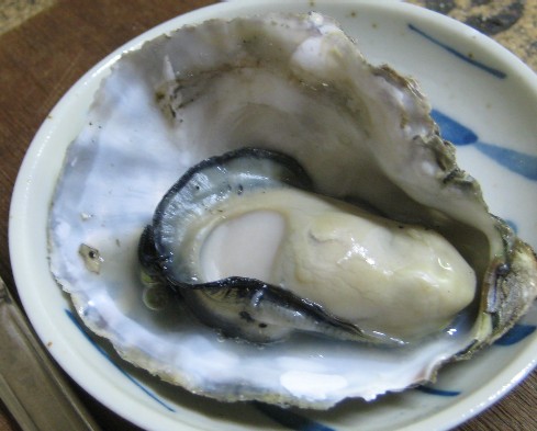 牡蠣を満喫 かき焼きわたなべ 志度 香川 Mangiare Felice 食べて飲んで幸せ 牡蠣を満喫 かき焼きわたなべ 志度 香川 Mangiare Felice 食べて飲んで幸せ