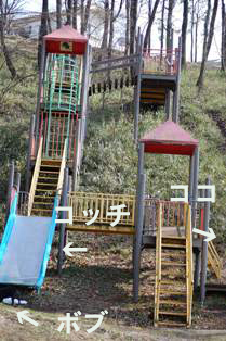 d0095590_1645999.jpg