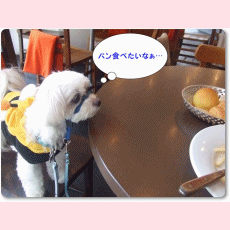 f0148595_21204624.gif