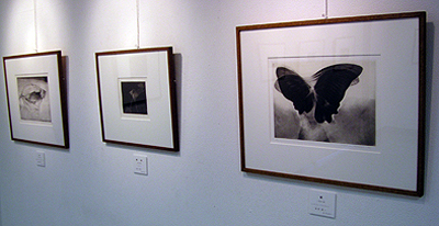〜宮本典刀・松本秀一 銅版画二人展_f0106896_175534.jpg