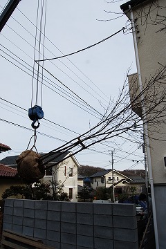 c0124100_11295541.jpg