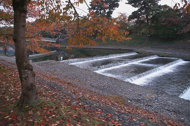 e0039703_18323921.jpg